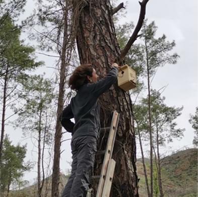 Biodiversity-Focused Post-Fire Ecosystem Restoration Guide